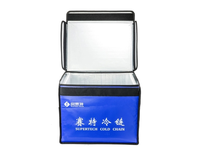 collapsible insulated bag